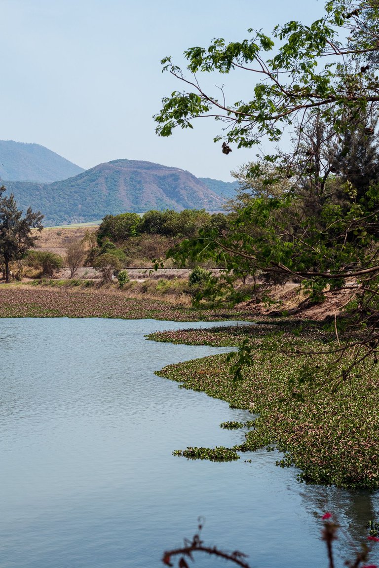 Laguna-3.jpg