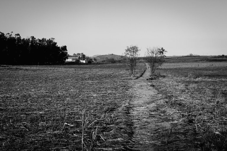 Monochromatic pathway-5.jpg