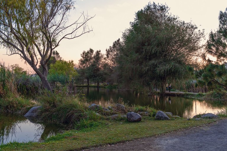 parque-3.jpg