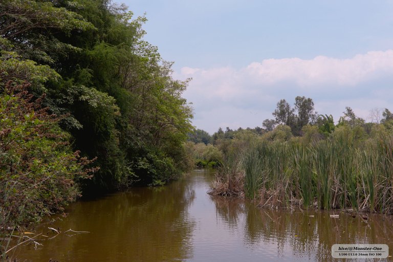 Parque_06_06_25_0004.jpg