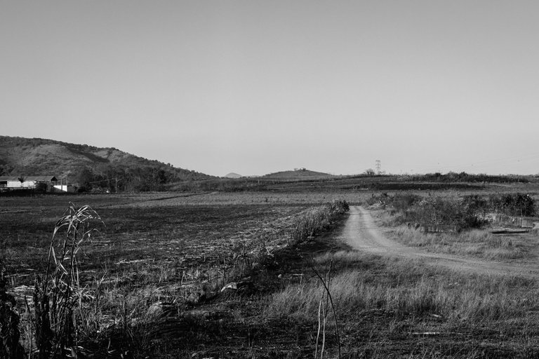 Monochromatic pathway-2.jpg