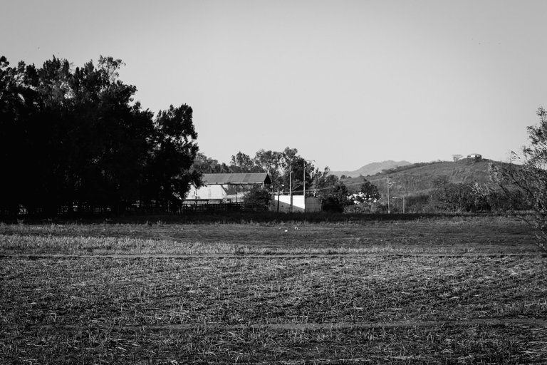 Monochromatic pathway-6.jpg