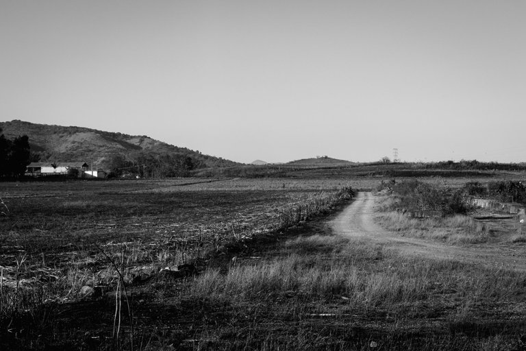 Monochromatic pathway-4.jpg