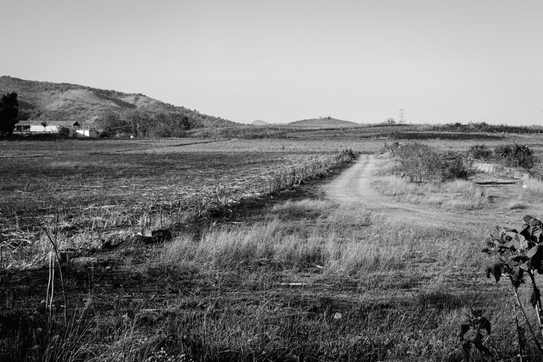 Monochromatic pathway-3.jpg