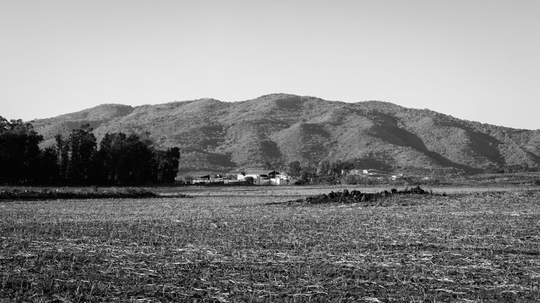 Monochromatic pathway.jpg