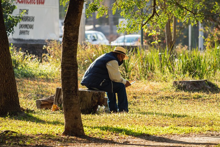 street_park8.JPG