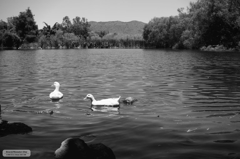parque_222_0007.jpg