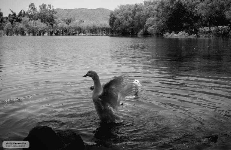 parque_222_0005.jpg