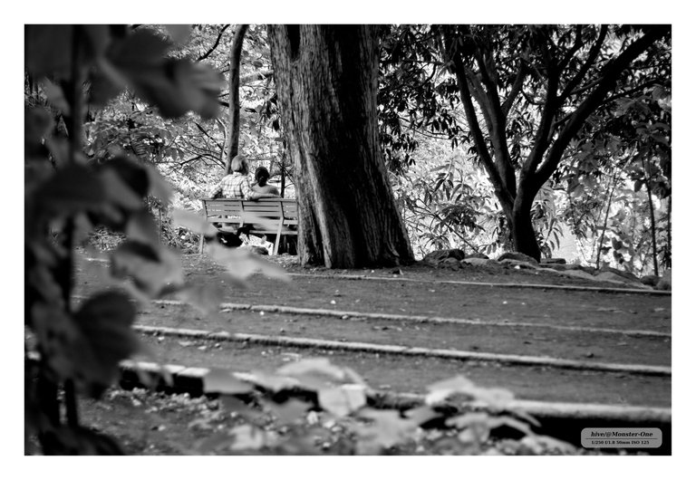 Monomad_park_nublado_0003.jpg
