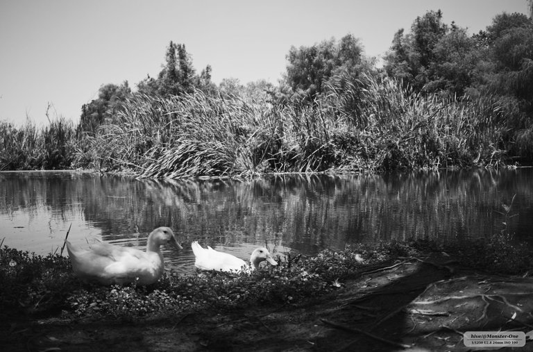 parque_22-07-25_0007.jpg