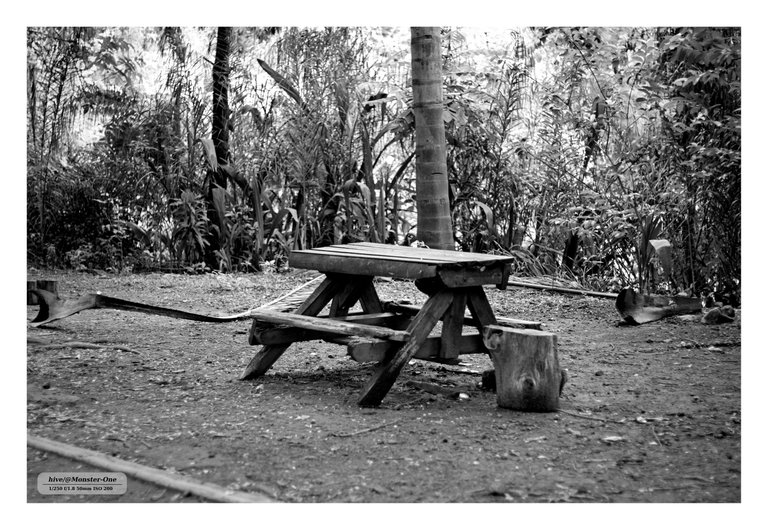 Monomad_park_nublado_0004.jpg
