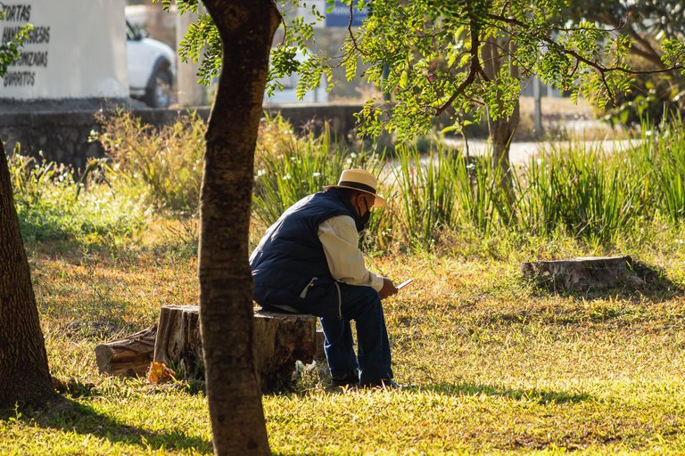 street_park6.JPG