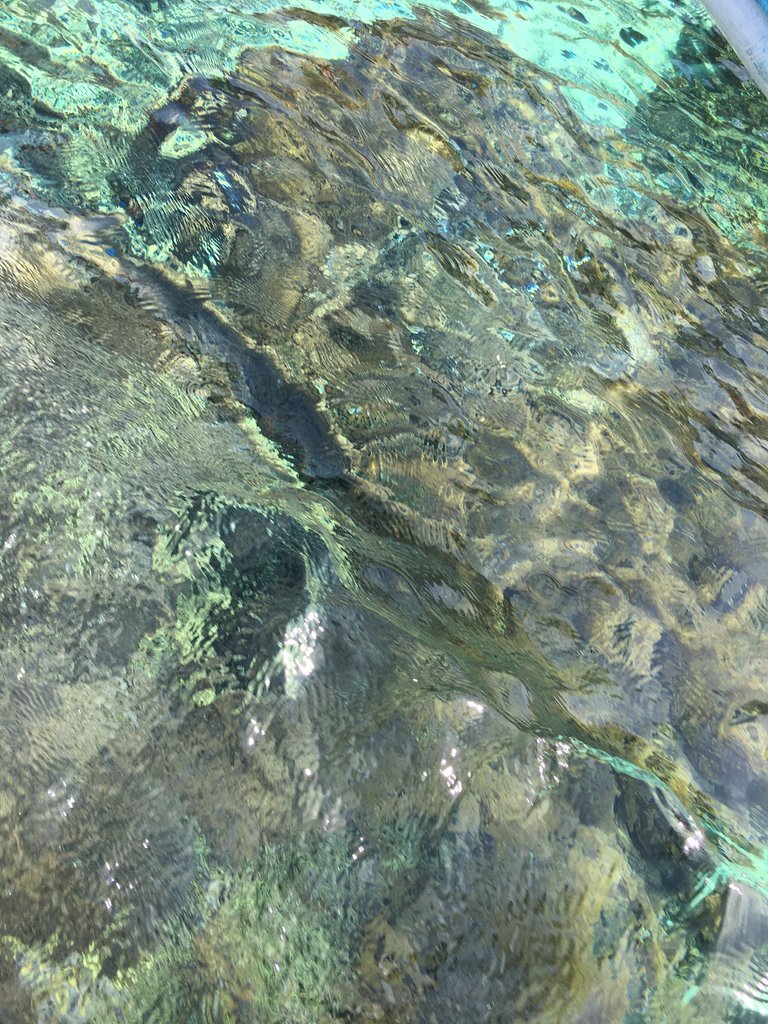 IMG_7484.JPG