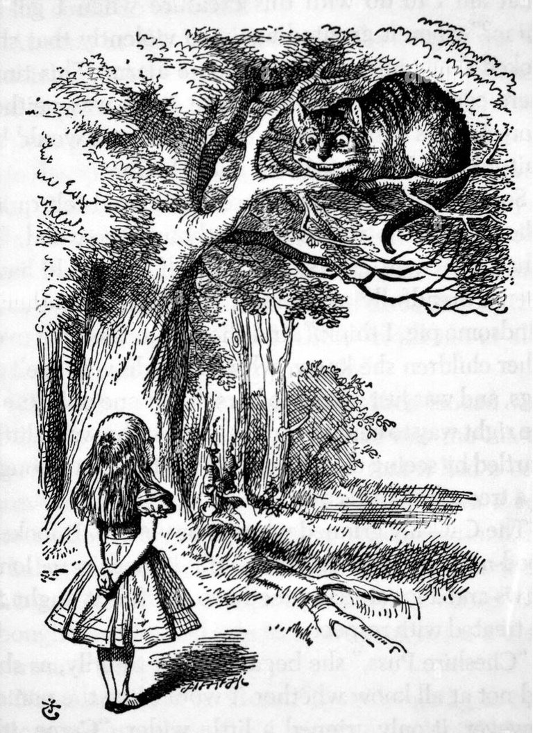 alicia-y-el-gato-de-cheshire-la-aventura-de-alicia-en-el-pais-de-las-maravillas-lewis-carroll-1865-cxy2gt.jpg