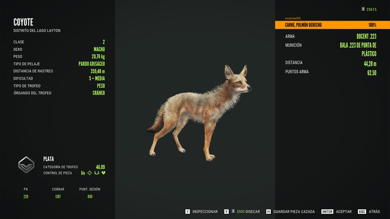 coyote1.jpg