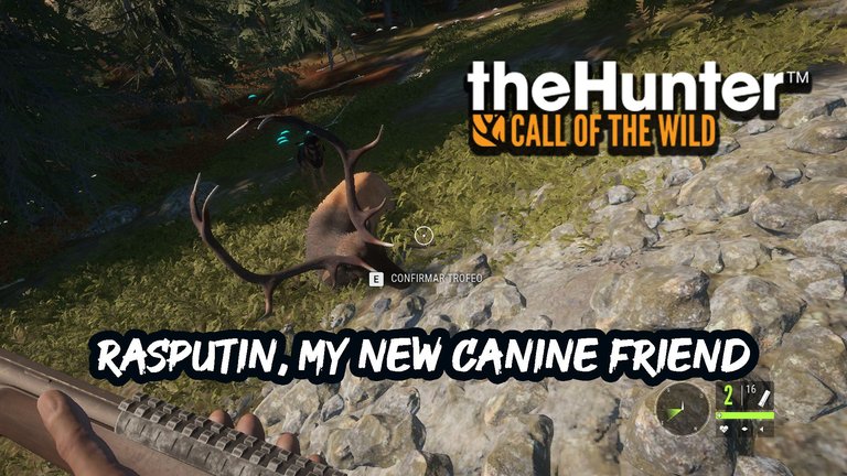huntercotw copia 2.jpg