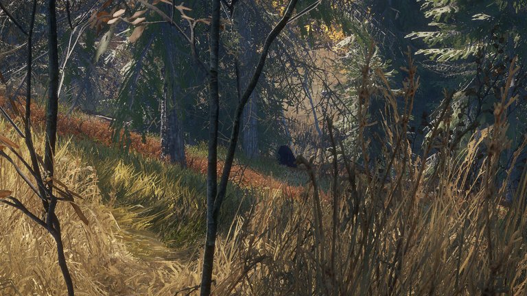 theHunter_Screenshot_2023-07-17_20_27_18 copia.jpg