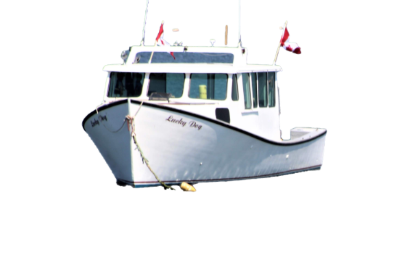 boat1.png
