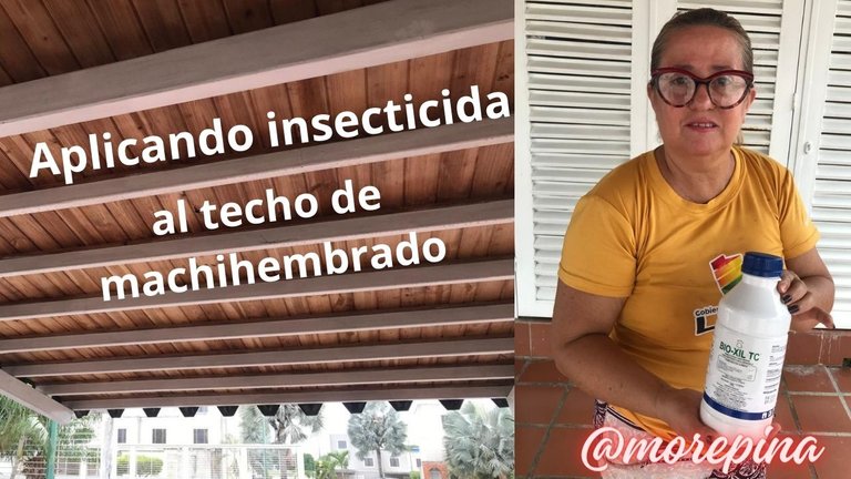 Aplicando insecticida.jpg