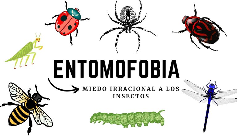 entomofobia.jpg