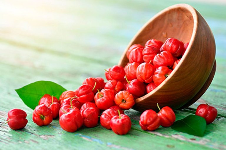 Discover the Benefits of Acerola