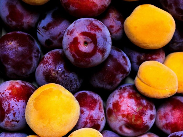 The Benefits of Plum for the Human Body
