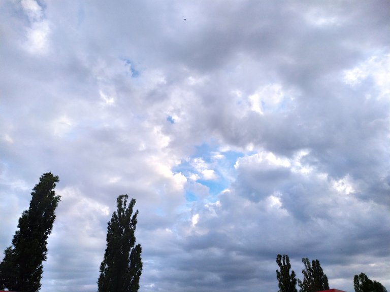IMG_20230903_183241.jpg