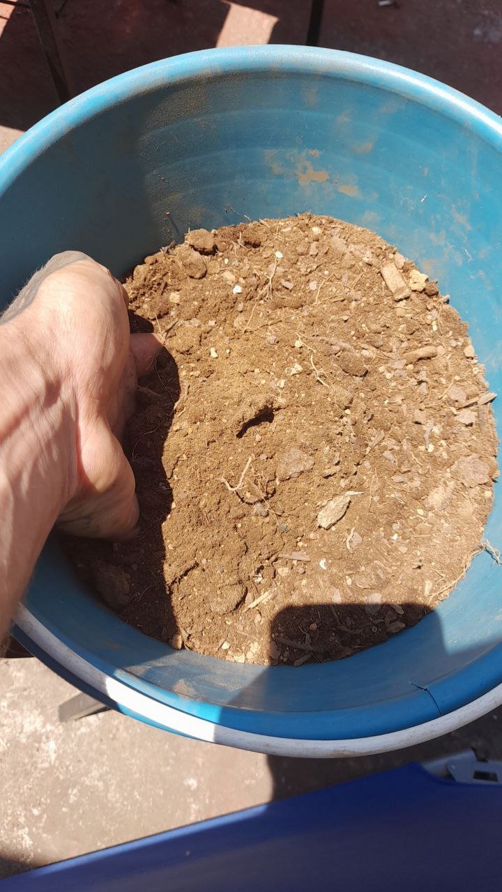better soil.jpg