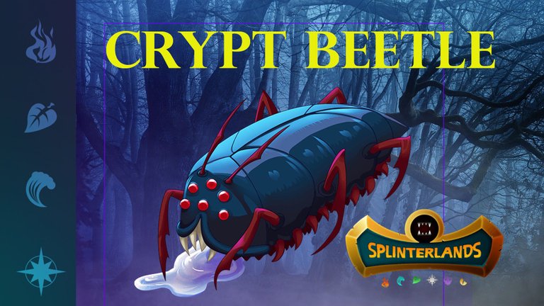 Crypt-Beetle.jpg