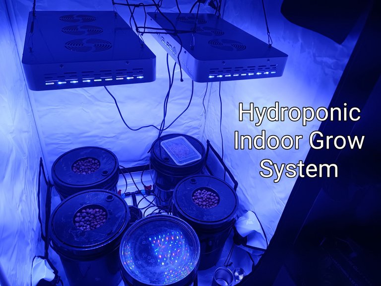 hydroponicindoors.jpg