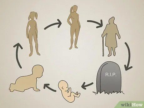 17462727304323616198789628488374.jpg