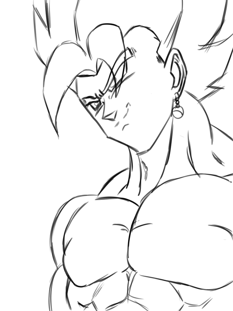 vegetto2.png