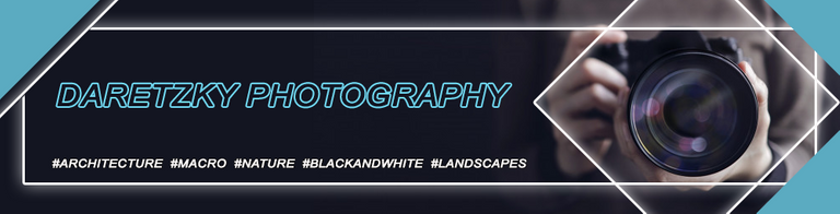 daretzky_photography.png