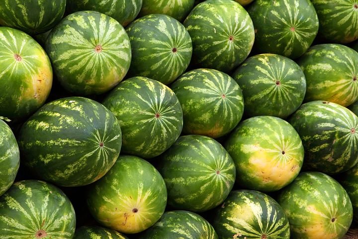 watermelons-2636__480.jpg