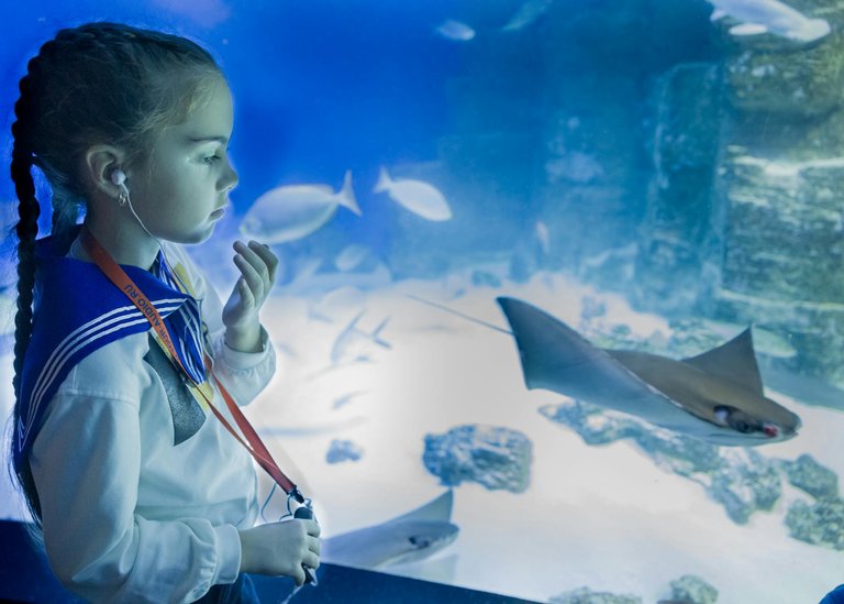 free-photo-of-girl-observing-marine-life-at-aquarium-exhibit.jpeg