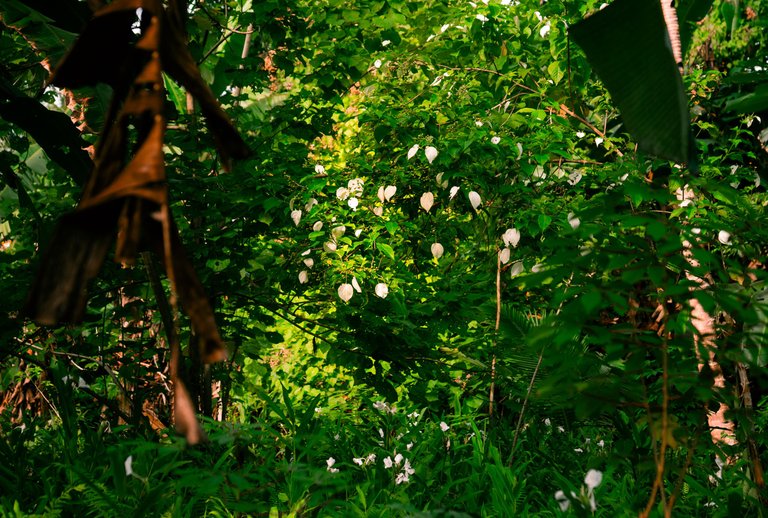 _DSC6485.jpg