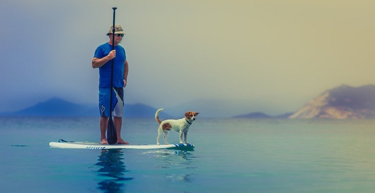 standup-paddleboarding-1838969_1280.jpg