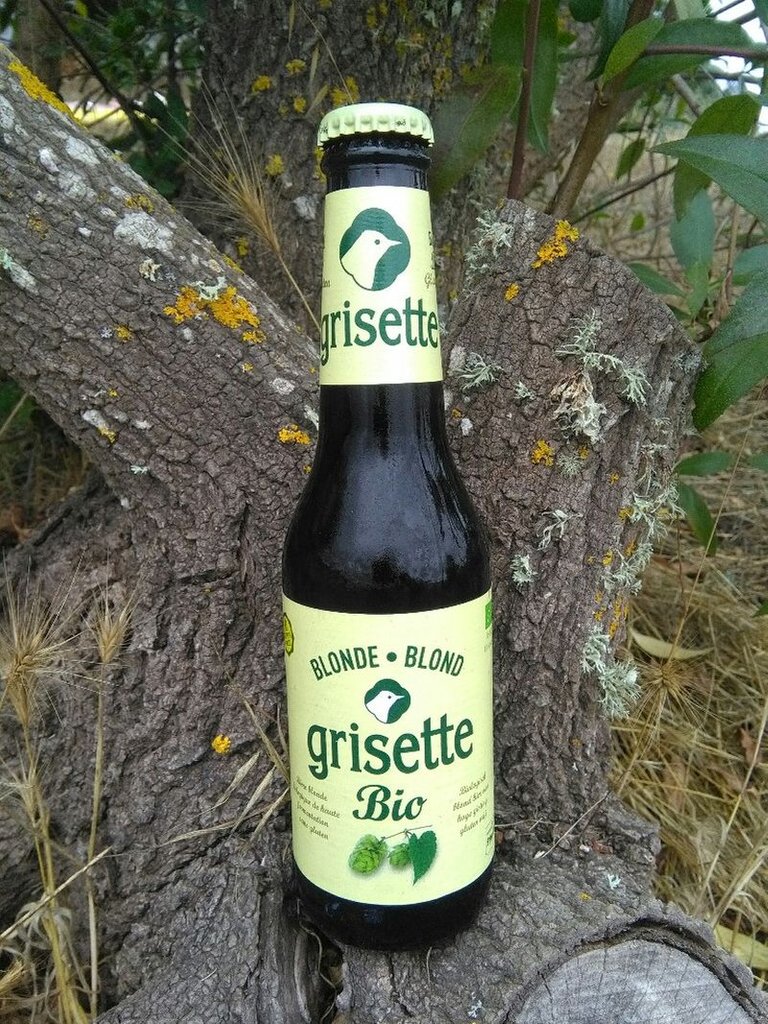 Grisette1.jpg