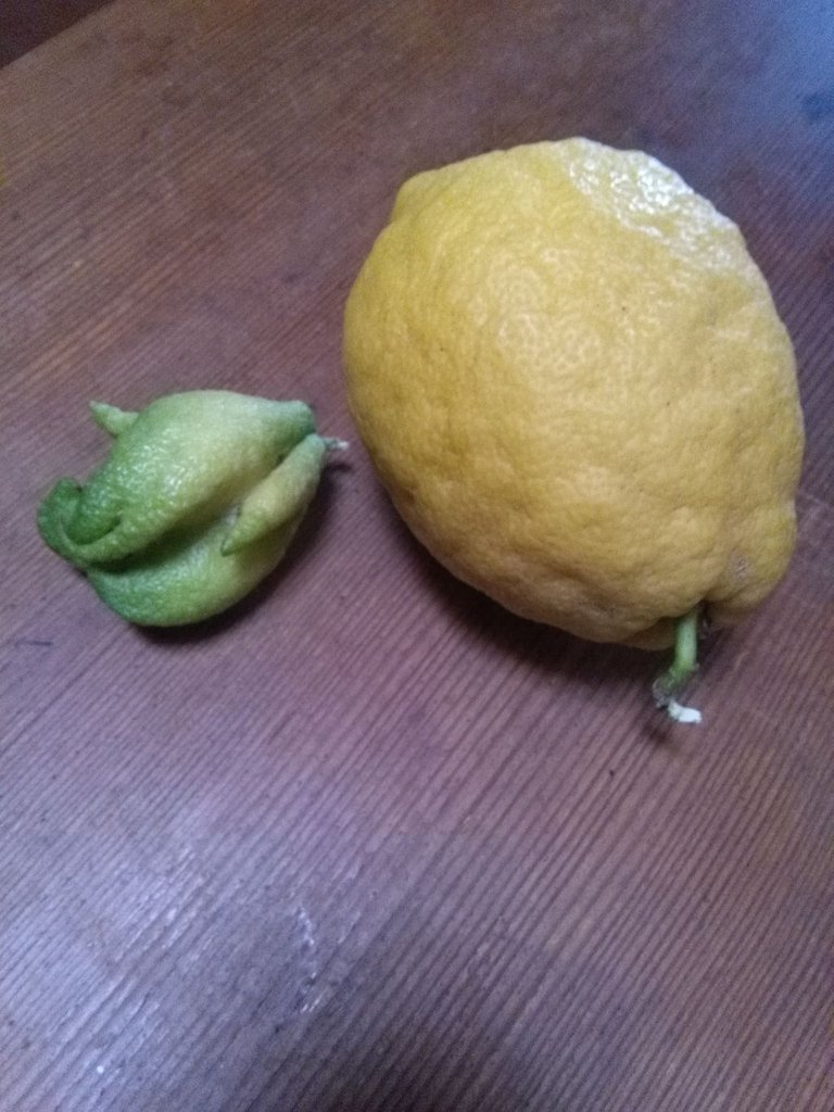 lemon.jpg