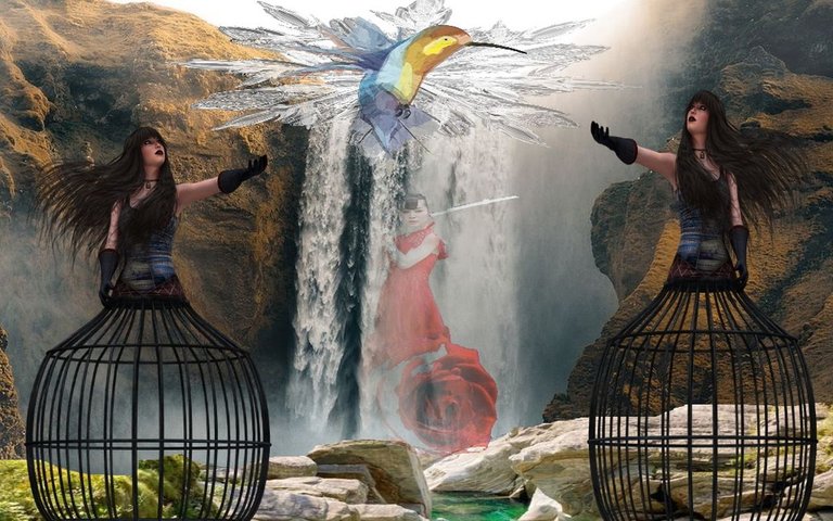 birdi.jpg