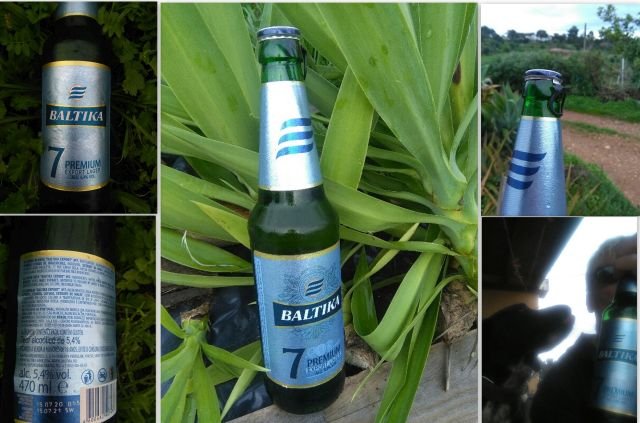 baltika1.jpg