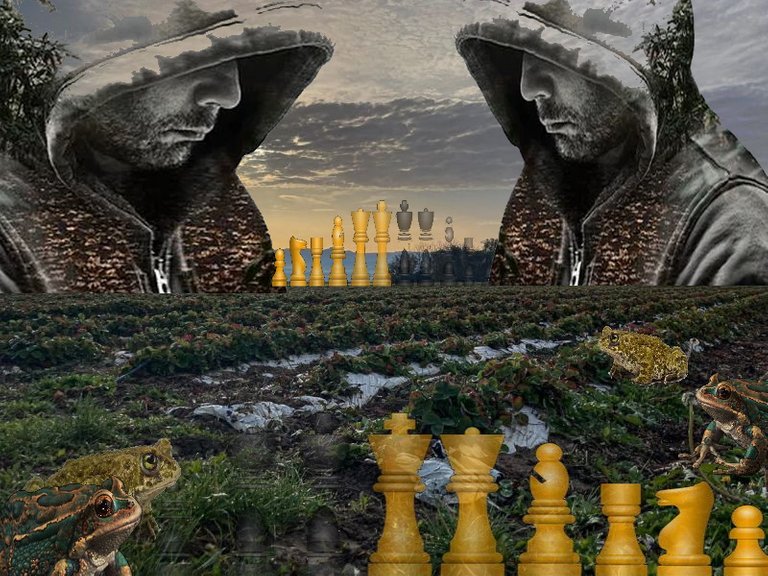 final schach.jpg