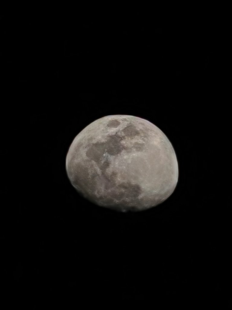 IMG_4661.jpeg