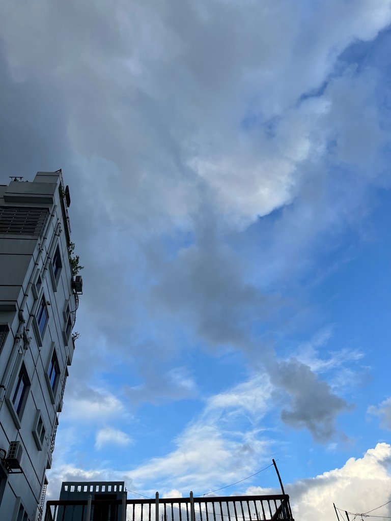 IMG_5789.jpeg