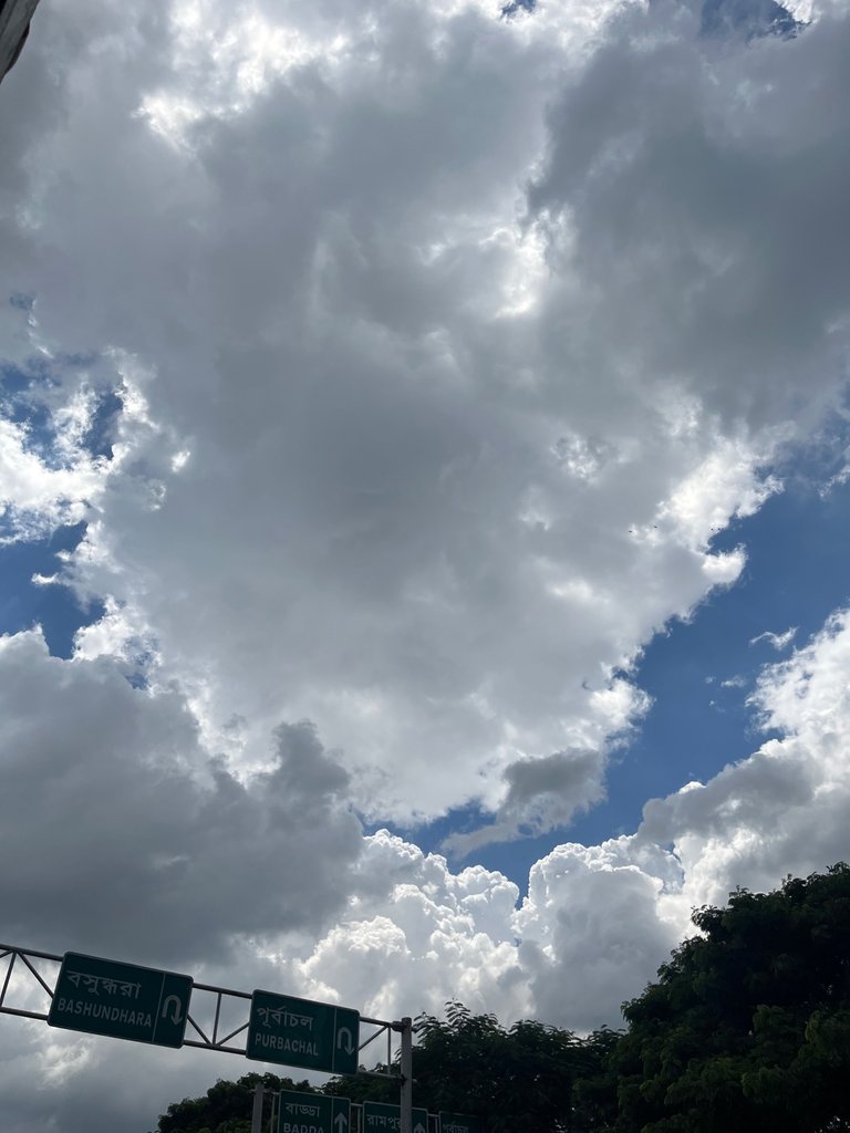 IMG_6318.jpeg