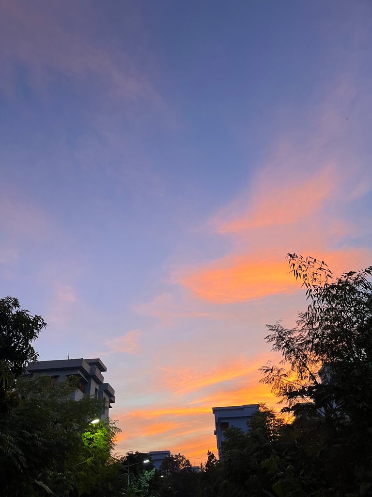 IMG_6201.jpeg