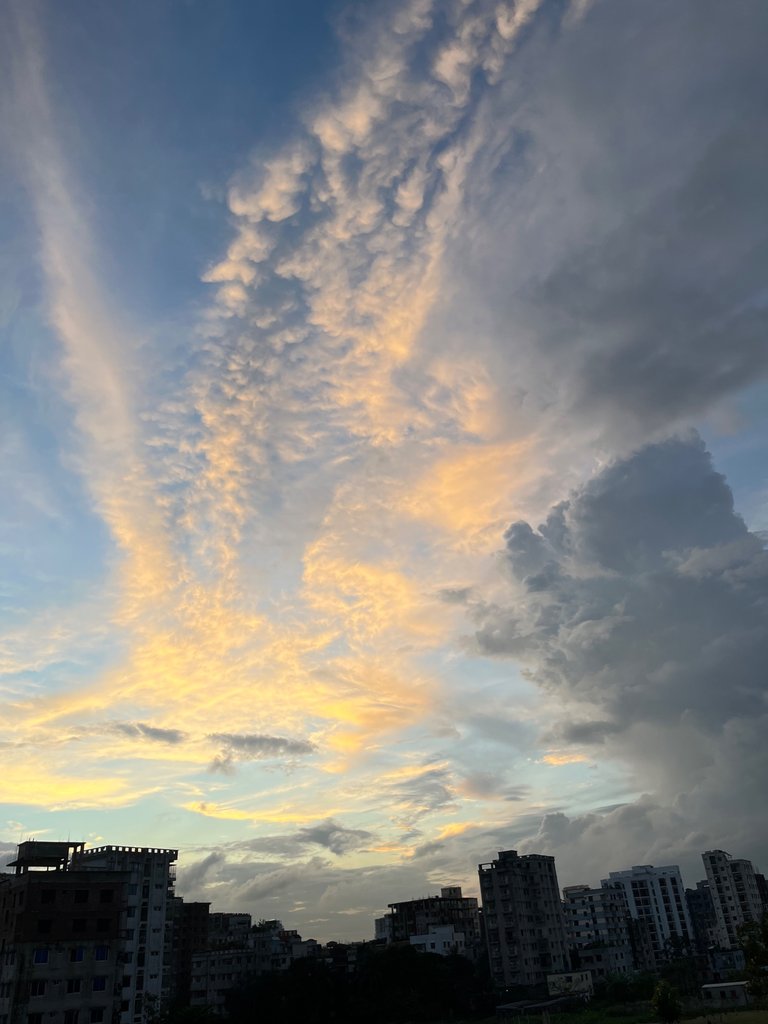 IMG_4535.jpeg