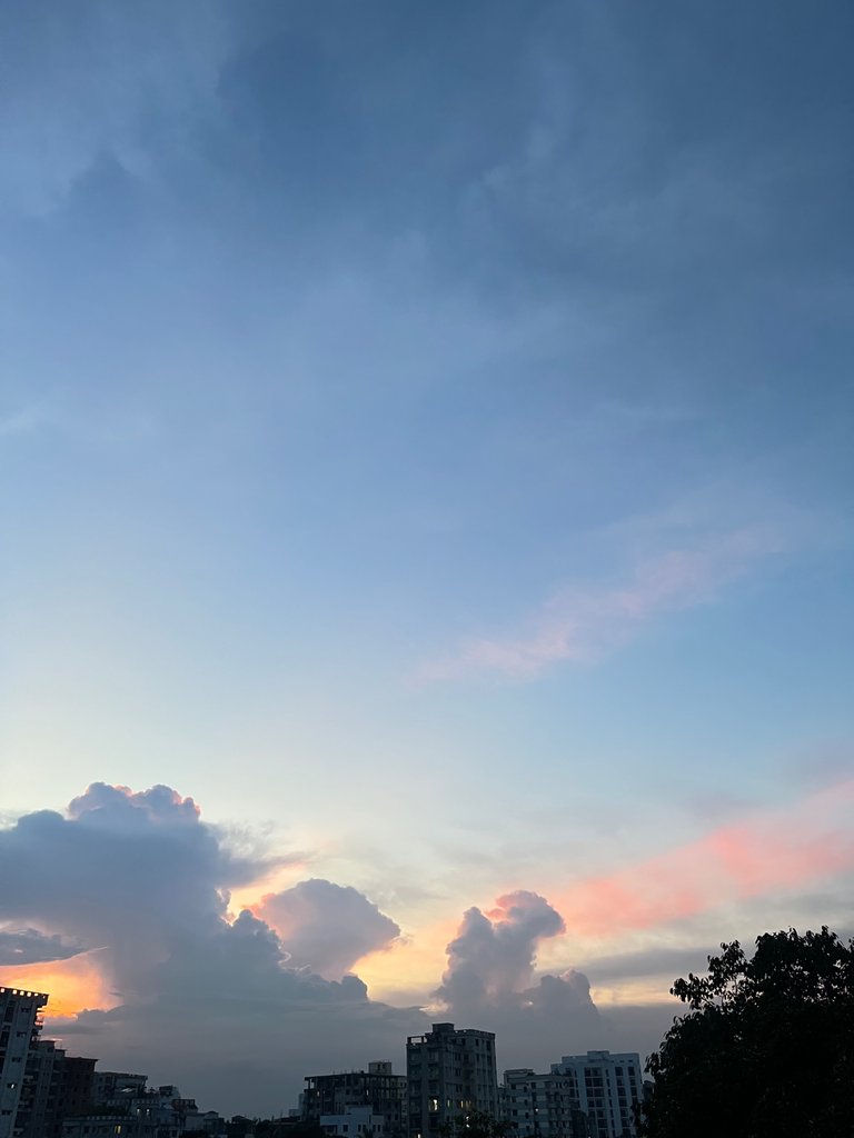 IMG_5589.jpeg