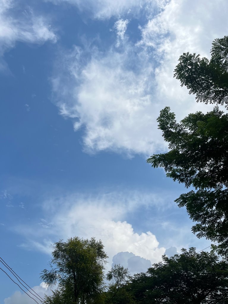 IMG_6420.jpeg
