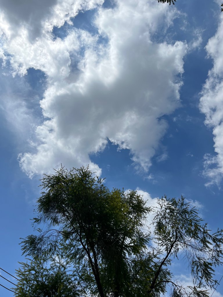 IMG_6248.jpeg